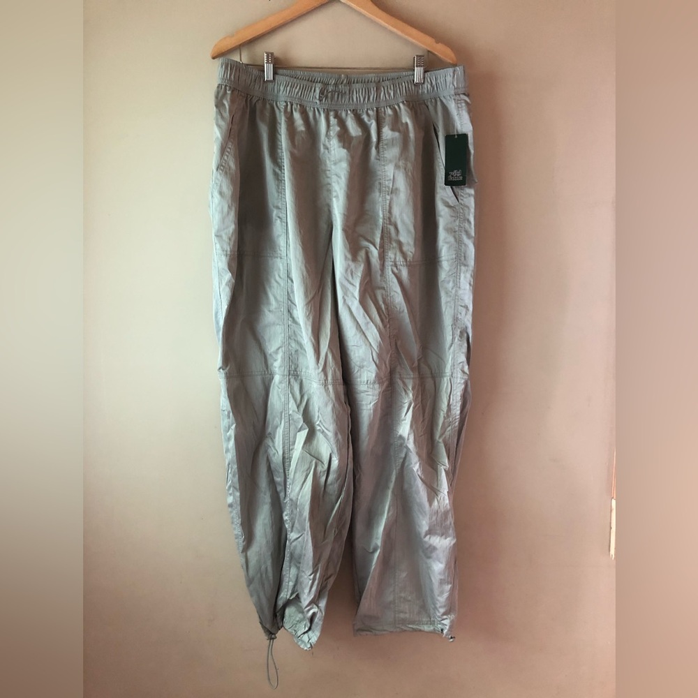 Wild Fable Silver Pants